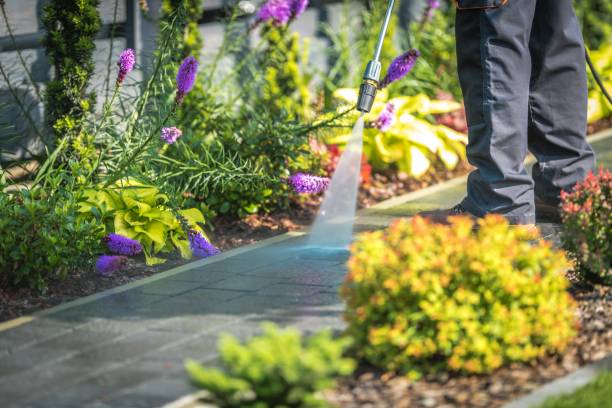 Best Animal Enclosure Cleaning  in Boyne City, MI